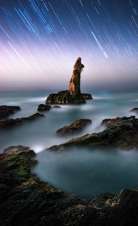 Trails at Cathedral Rocks, Kiama