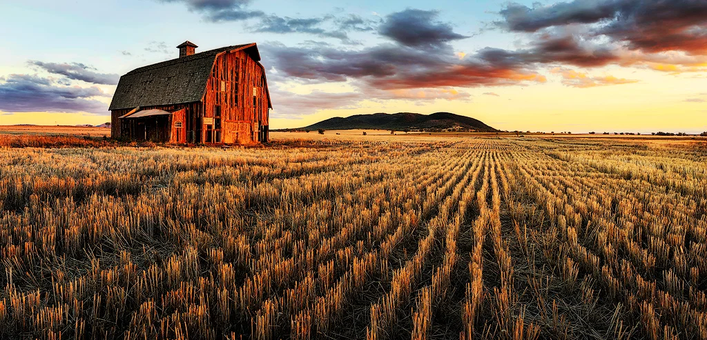 Superman Barn