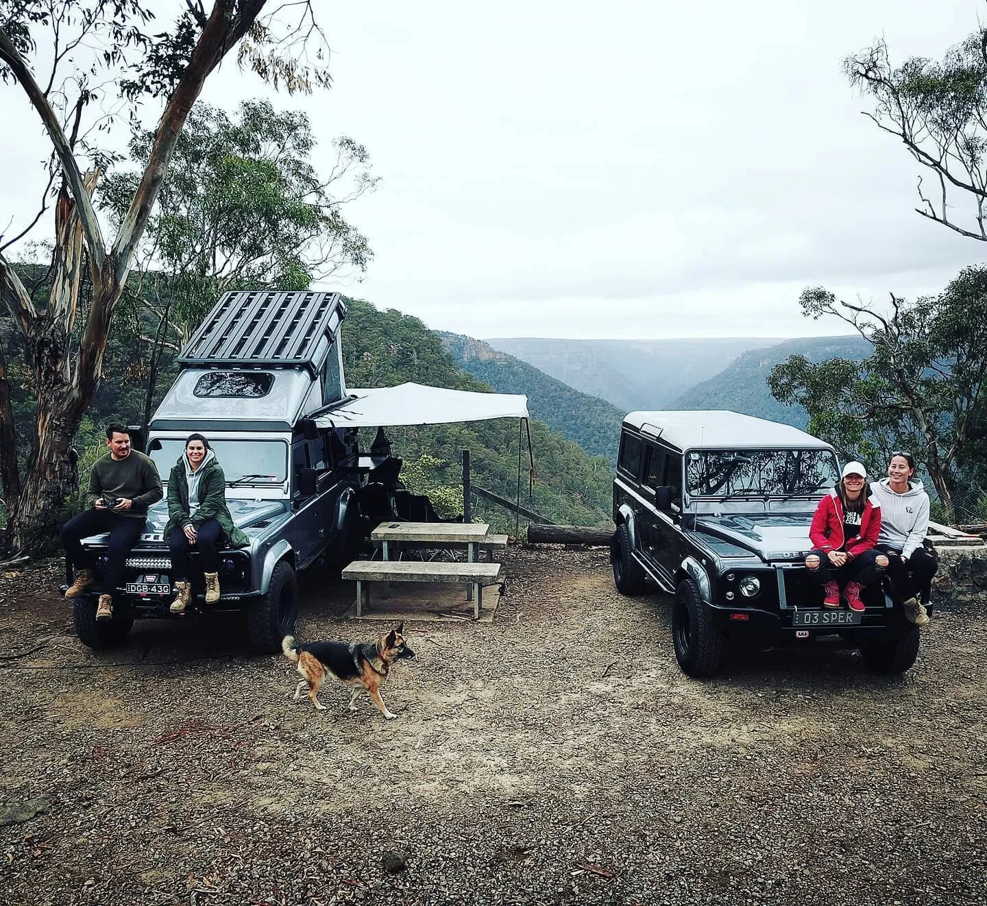 Hey, Timon, it's just a little lion. Look at him. He's so cute and all alone! Can we keep him?