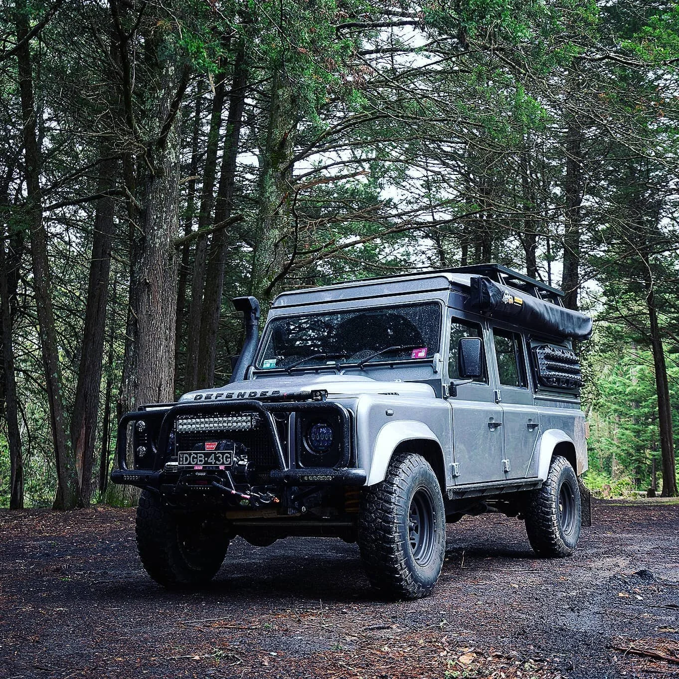 Where the wild things are