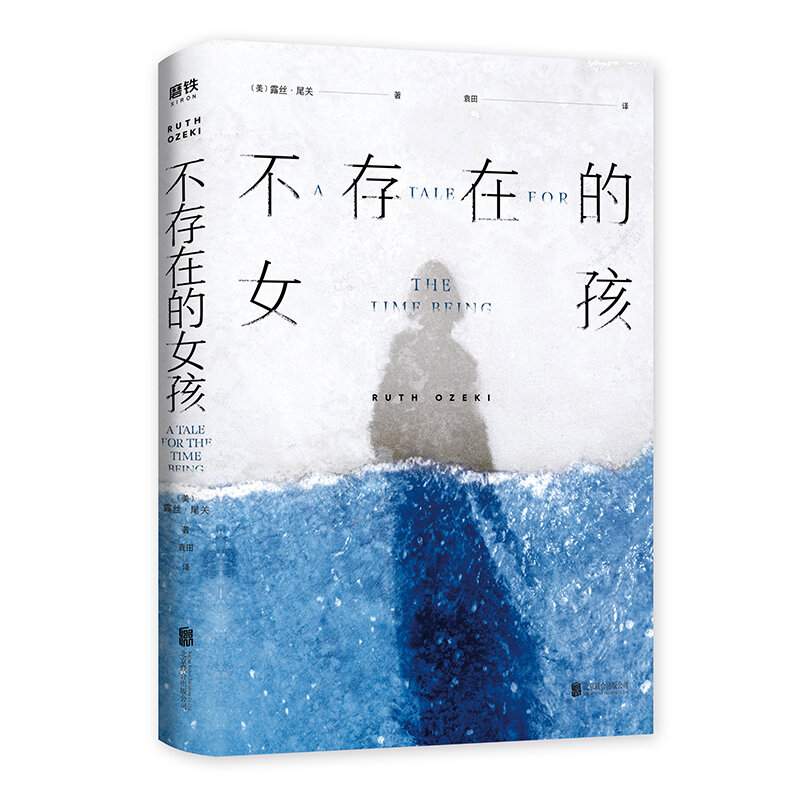 Chinese Edition