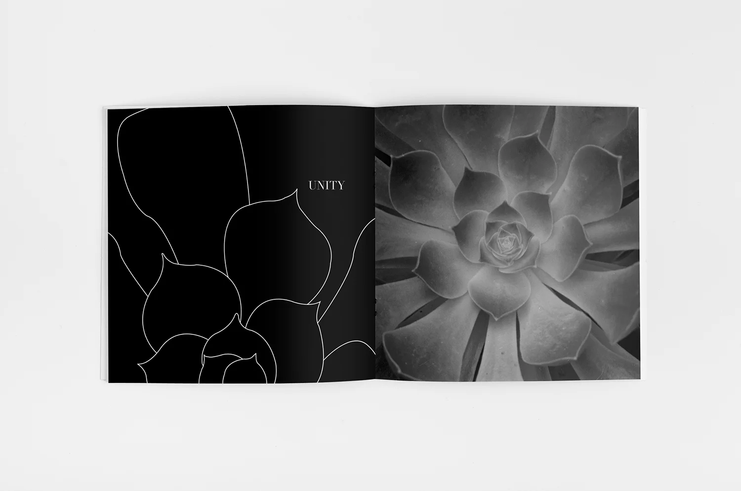 DesignAccNature4.jpg
