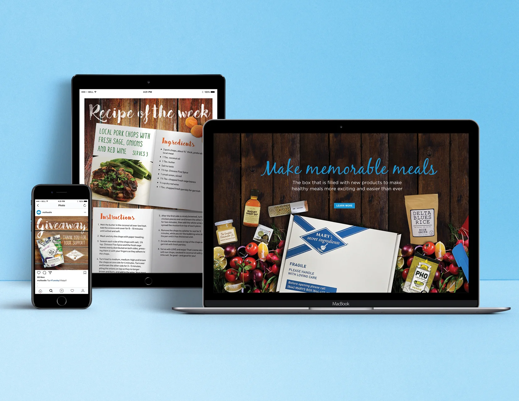 Landing Page, Email Blast and Instagram ad