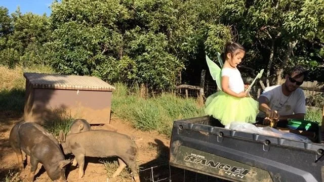 Our pigs have always been raised with a little fairy magic 🧚‍♂️, part of what makes ‘em so special. #farmgirls #farmlife #knowyourfarmer .
.
.
#maui #hawaii #farm #pigsofinstagram #pasturedpork #womenwhofarm