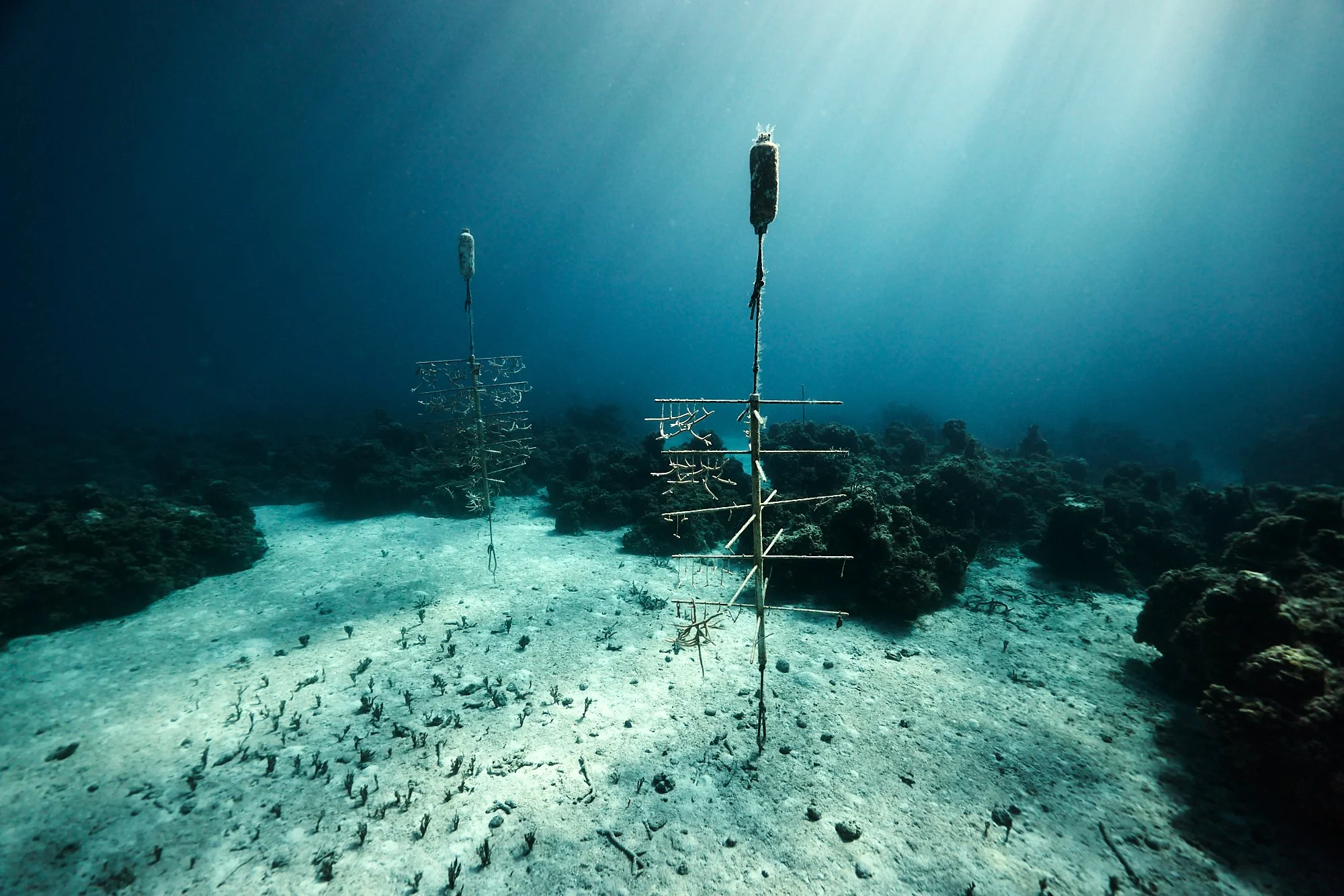 05.22.26_BAHAMAS_DIVE_0393.jpg