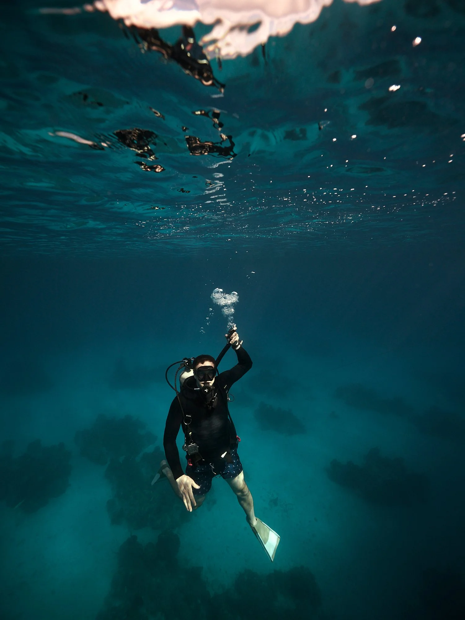 05.22.26_BAHAMAS_DIVE_0902.jpg