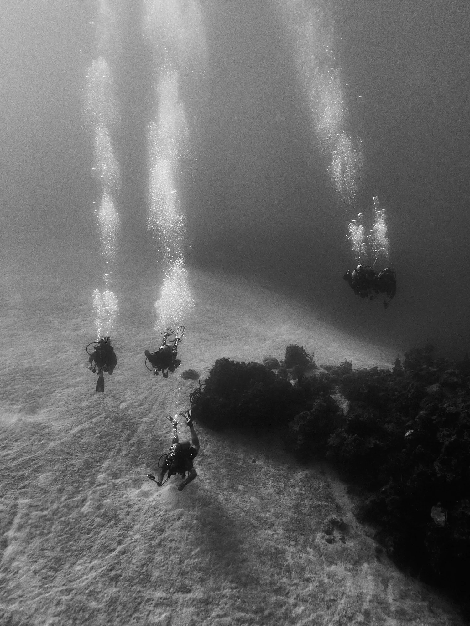 05.22.26_BAHAMAS_DIVE_0492.jpg