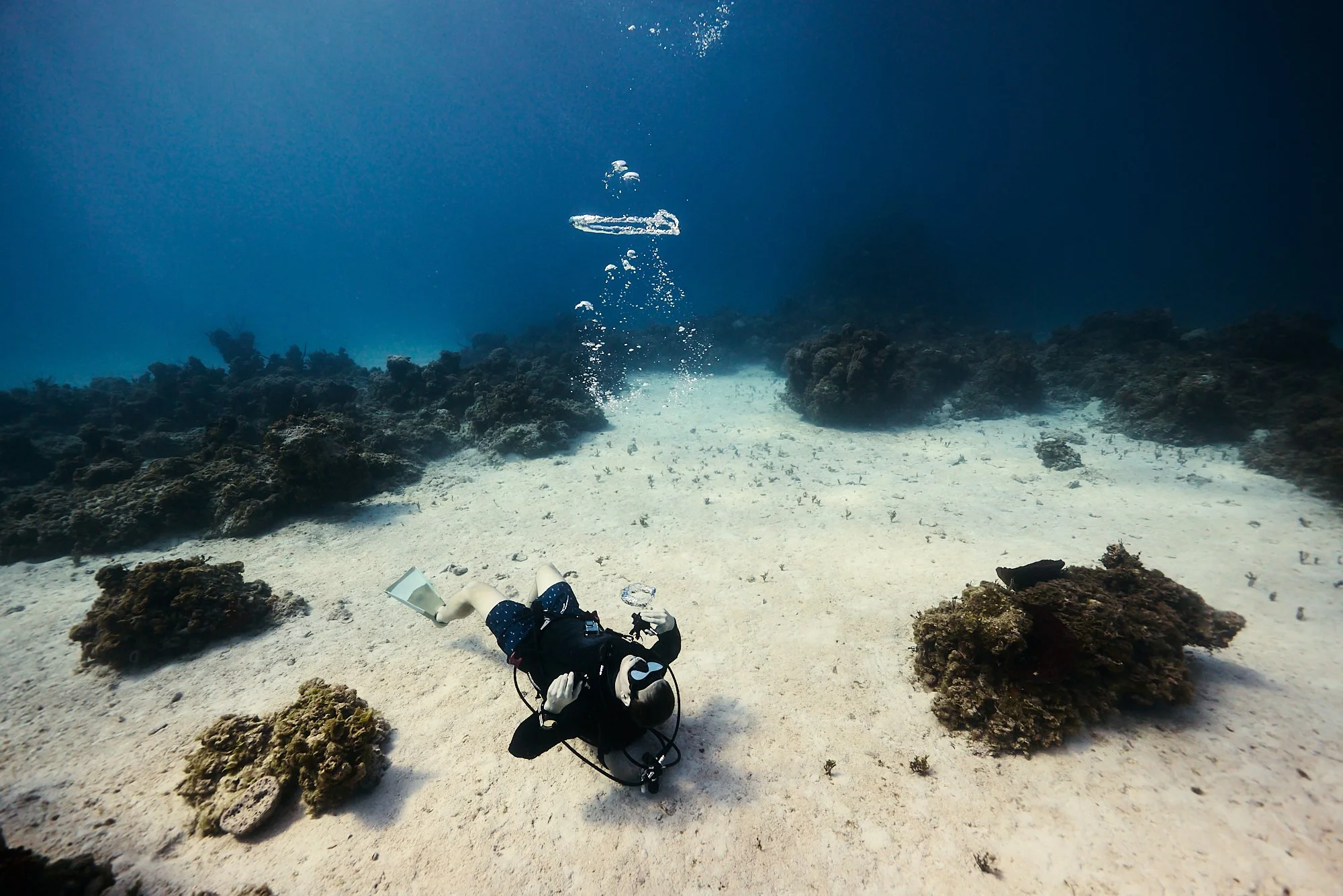 05.22.26_BAHAMAS_DIVE_1141.jpg