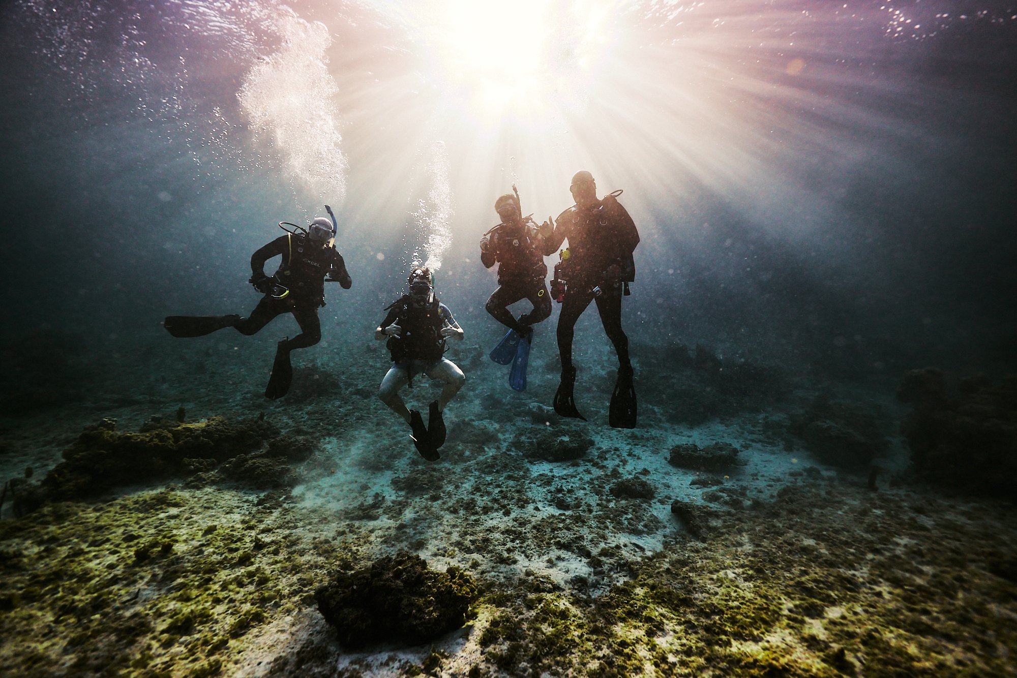 05.22.26_BAHAMAS_DIVE_2308.jpg