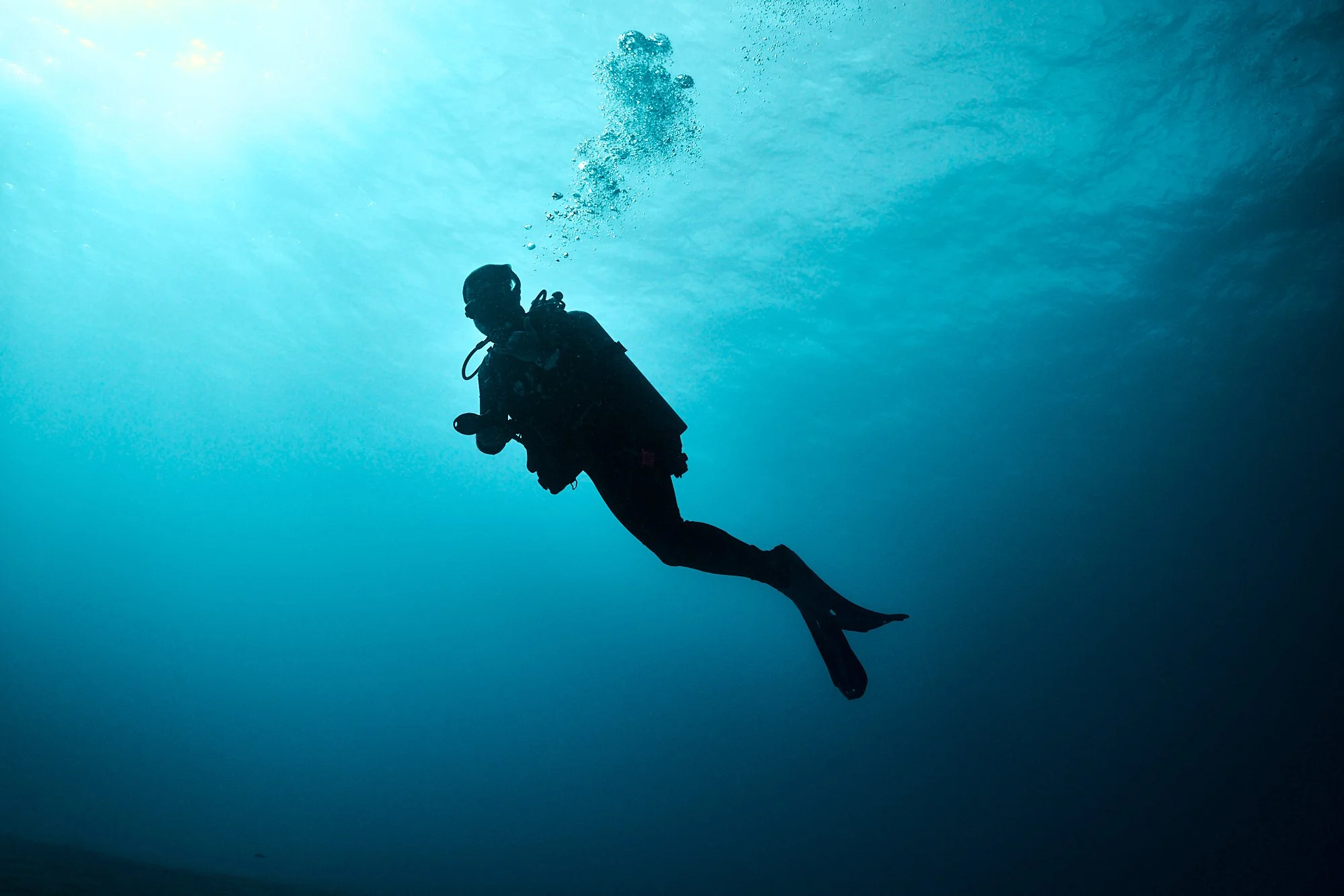 05.22.26_BAHAMAS_DIVE_0438.jpg