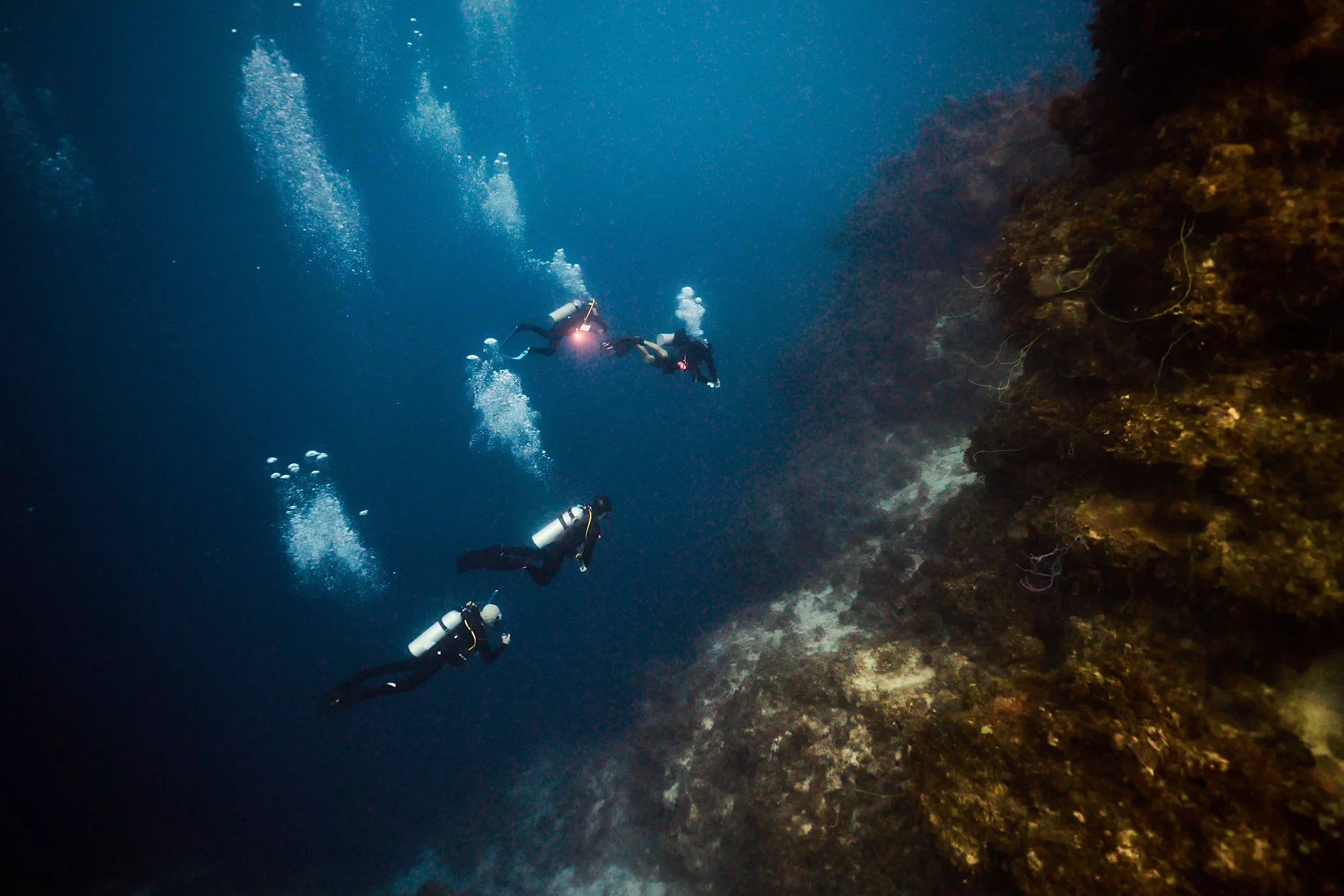 05.22.26_BAHAMAS_DIVE_0467 1.jpg