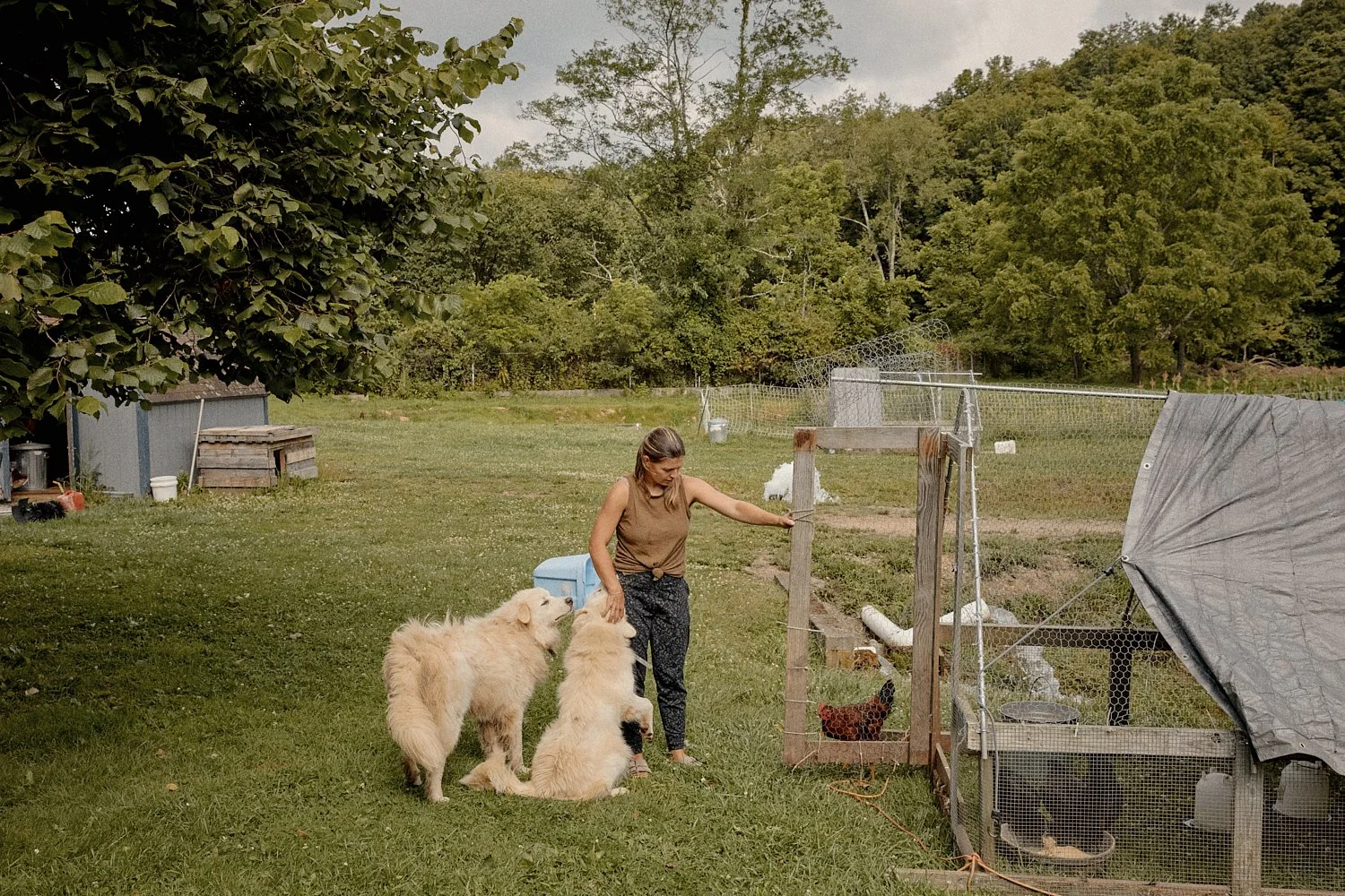 Lifestyle commercial photograph of a woman opening a chicken coop on a farm in Virginia, shot by photographer Ian Mahathey.