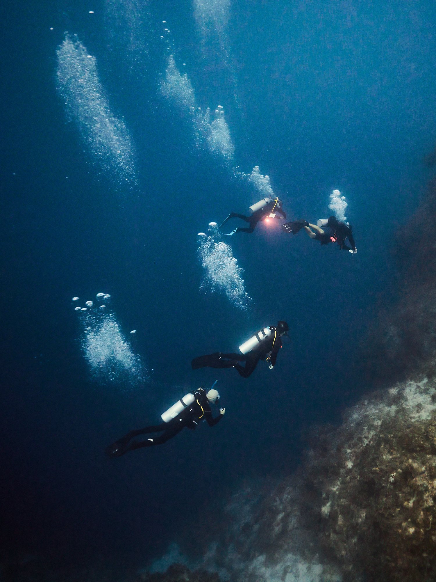 05.22.26_BAHAMAS_DIVE_0467.jpg