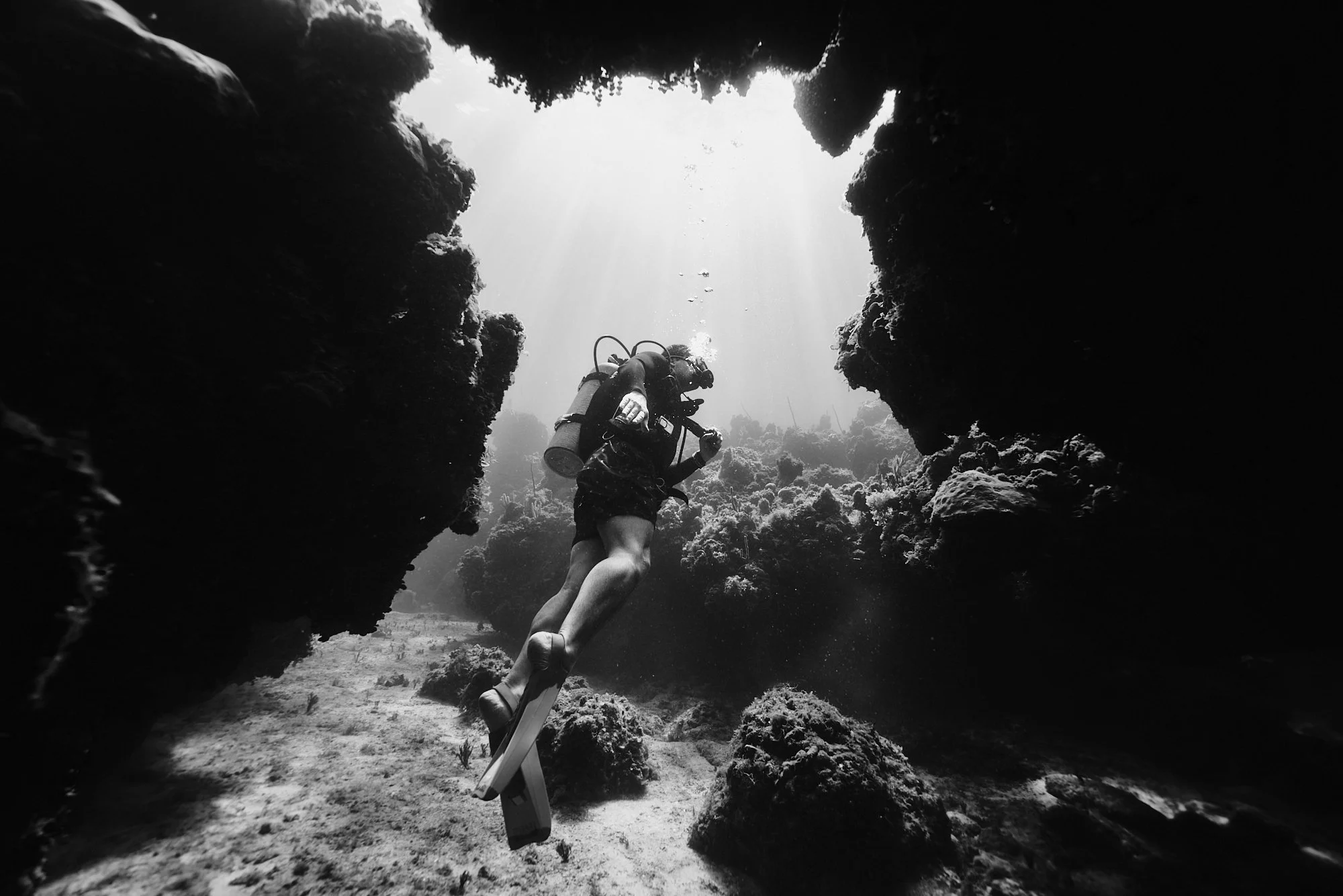 05.22.26_BAHAMAS_DIVE_1033.jpg
