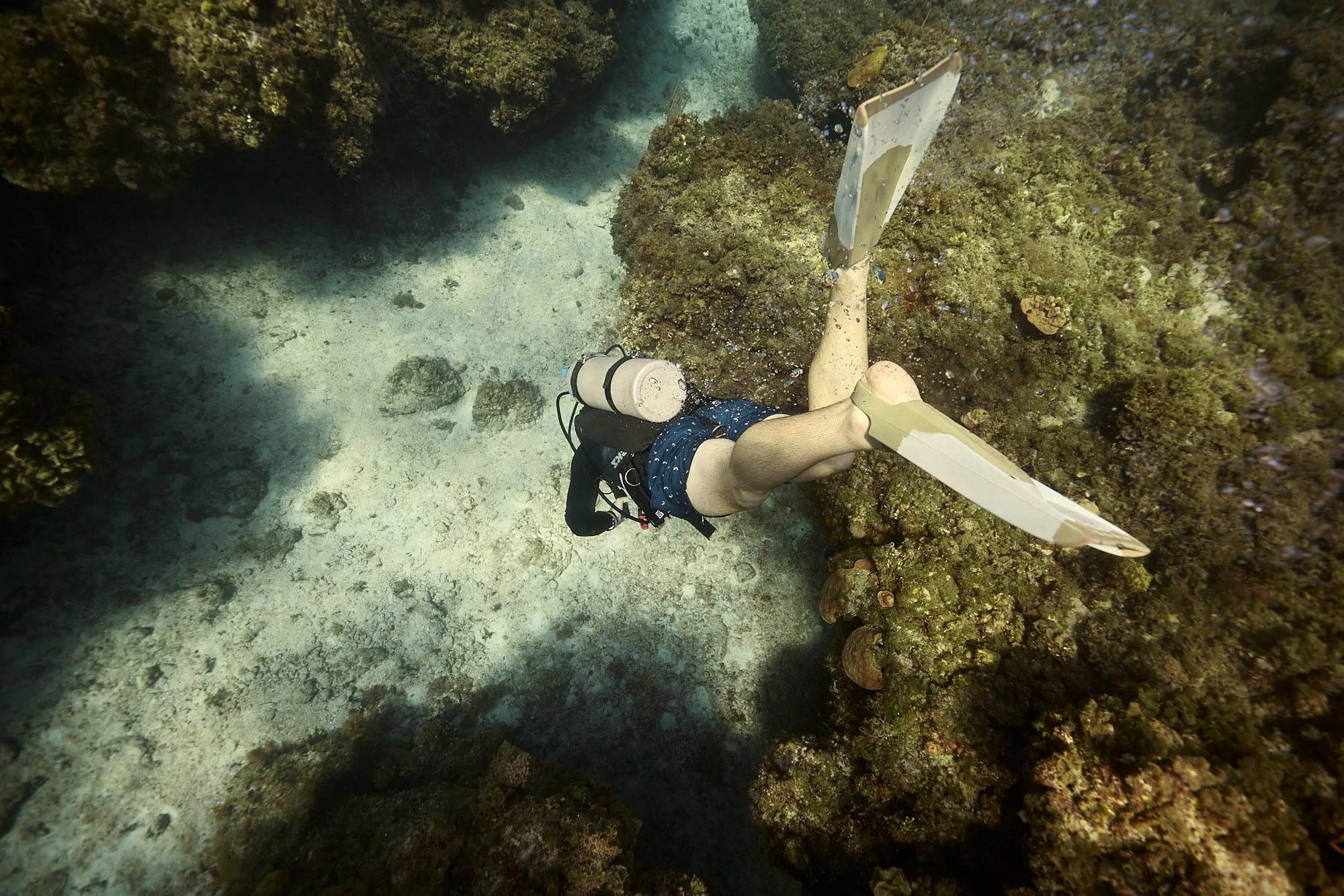 05.22.26_BAHAMAS_DIVE_0947.jpg