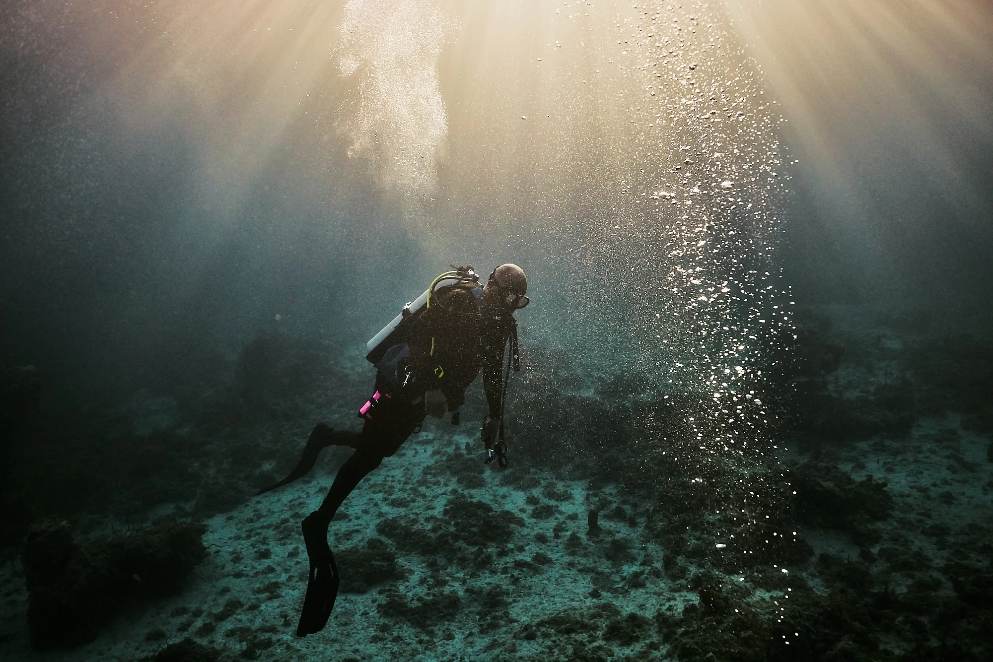 05.22.26_BAHAMAS_DIVE_2187 1.jpg