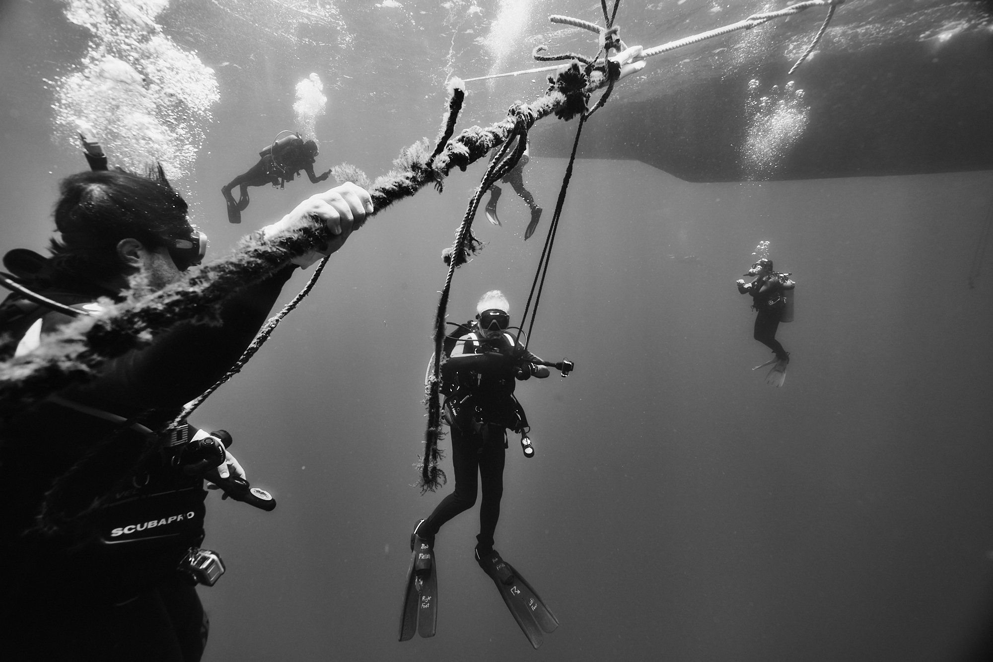 05.22.26_BAHAMAS_DIVE_0831.jpg