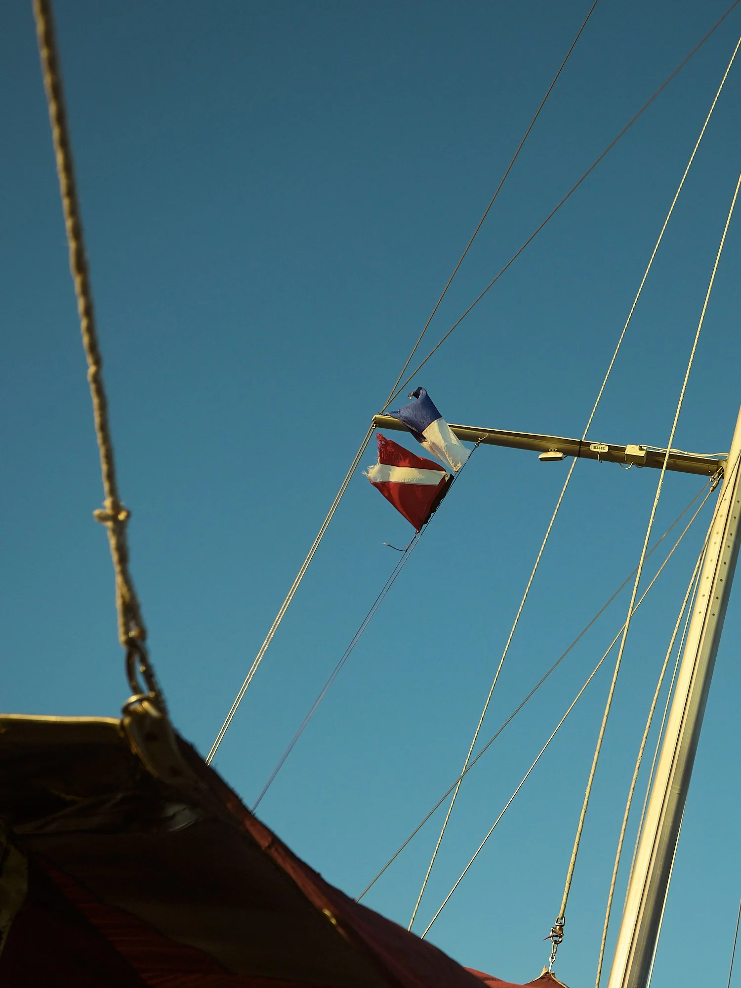 05.22.26_BAHAMAS_DIVE_2086.jpg