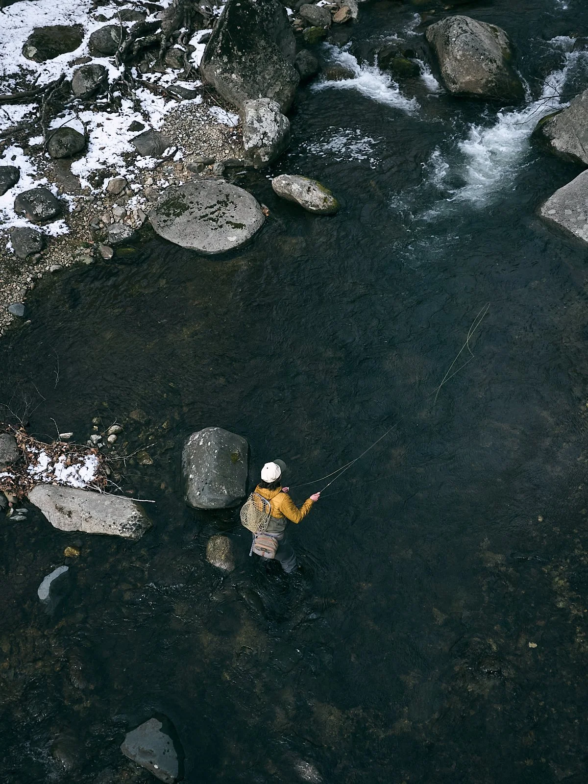 03.13.16_LADY_FLYFISH_1463 1.jpg