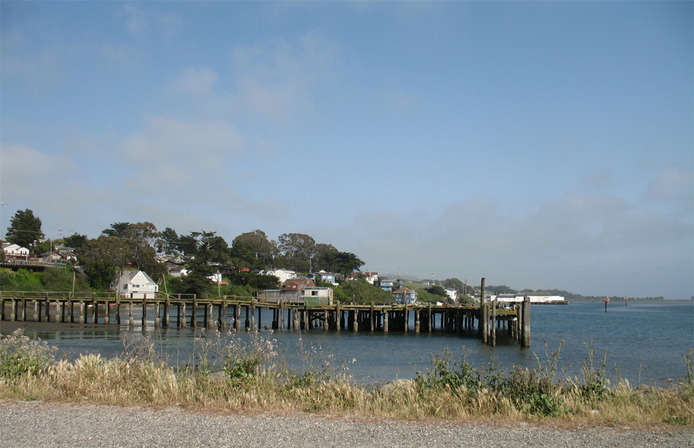 bodega bay