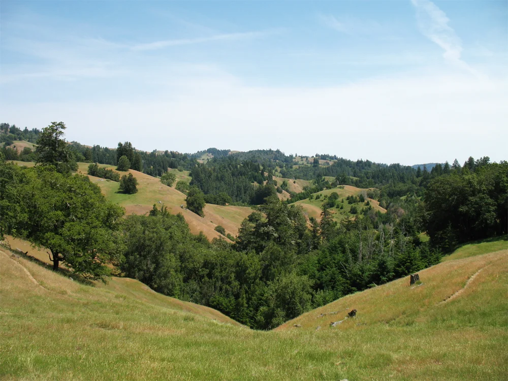 king ridge road, cazadero