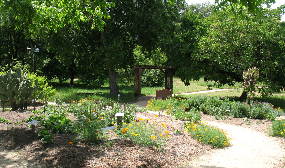 luther burbank's gold ridge experiment farm, sebastopol