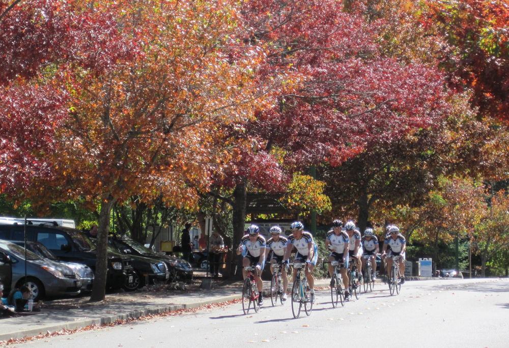 levi's gran fondo riders, occidental
