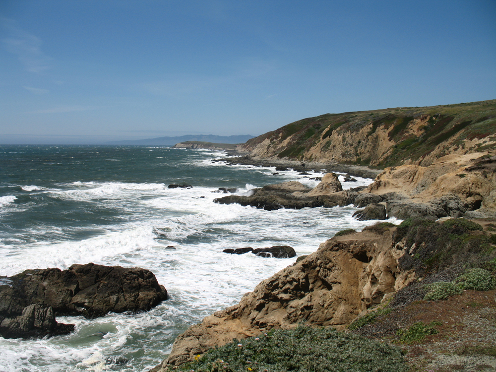 bodega head trail