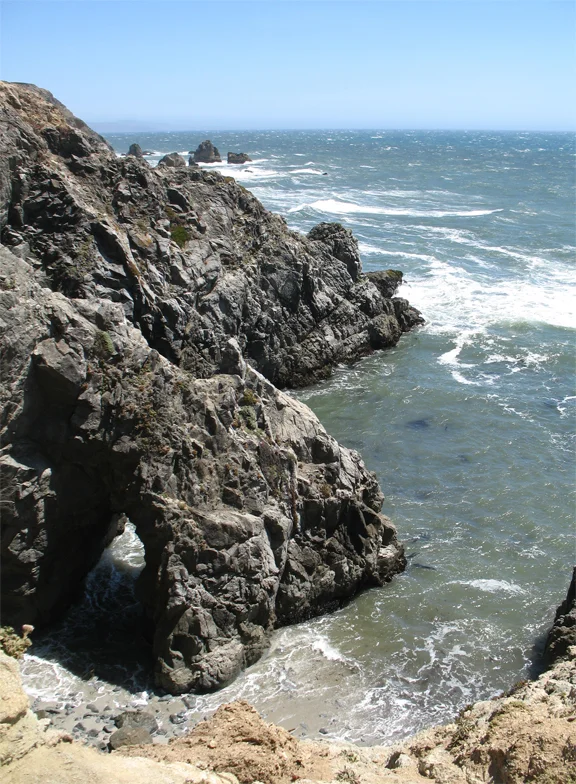 bodega head, bodega bay