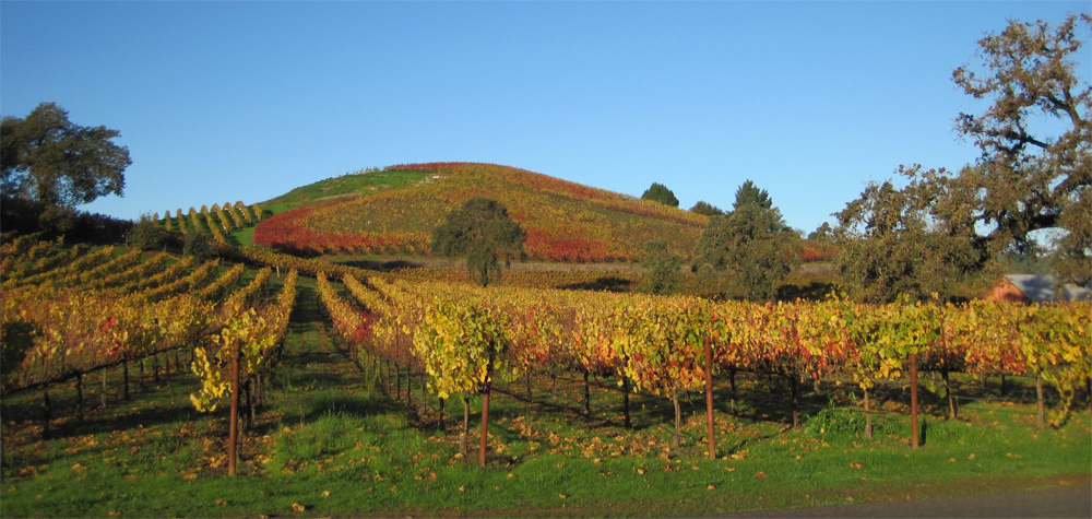 westside road, healdsburg