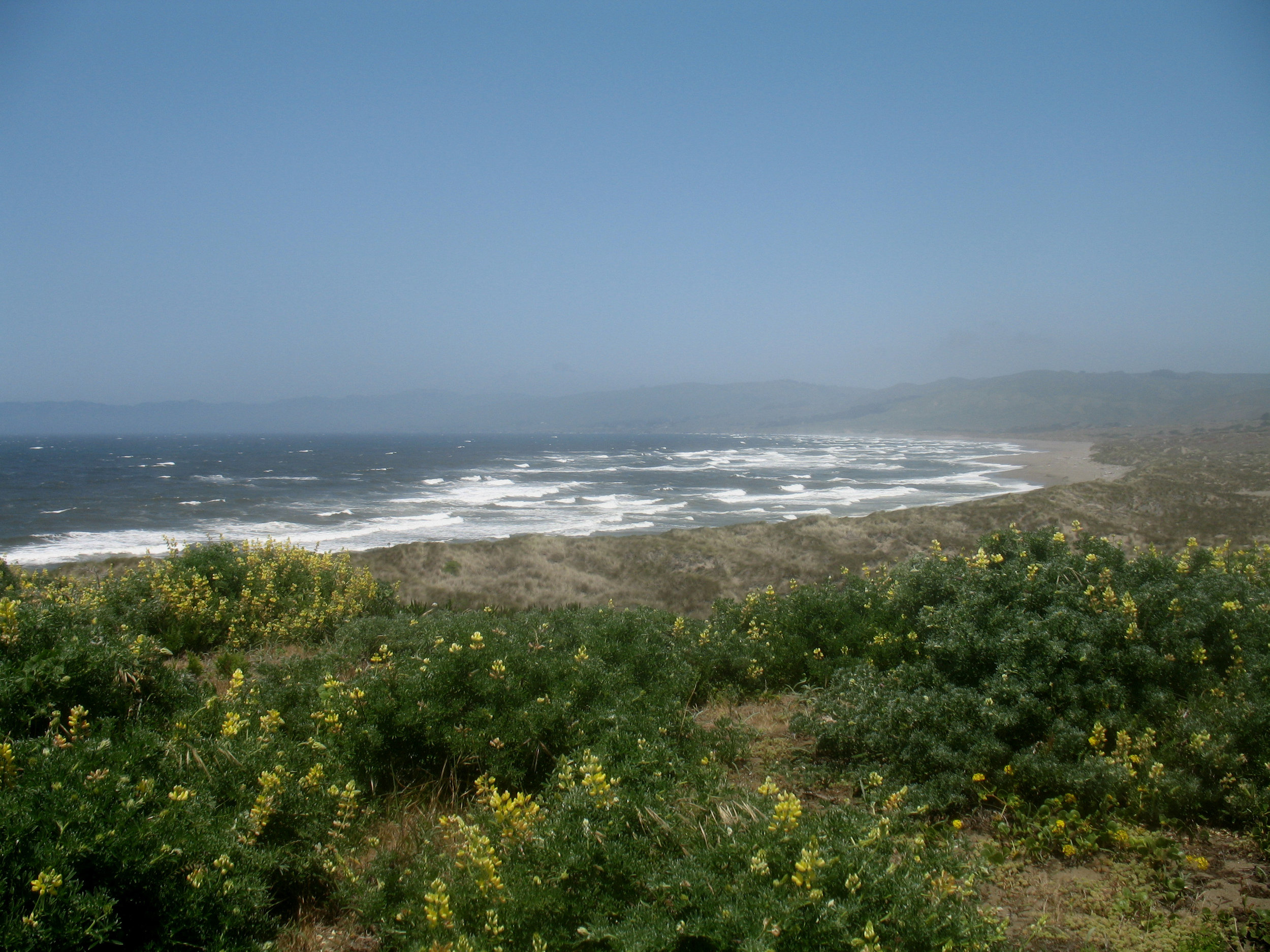 bodega dunes beach