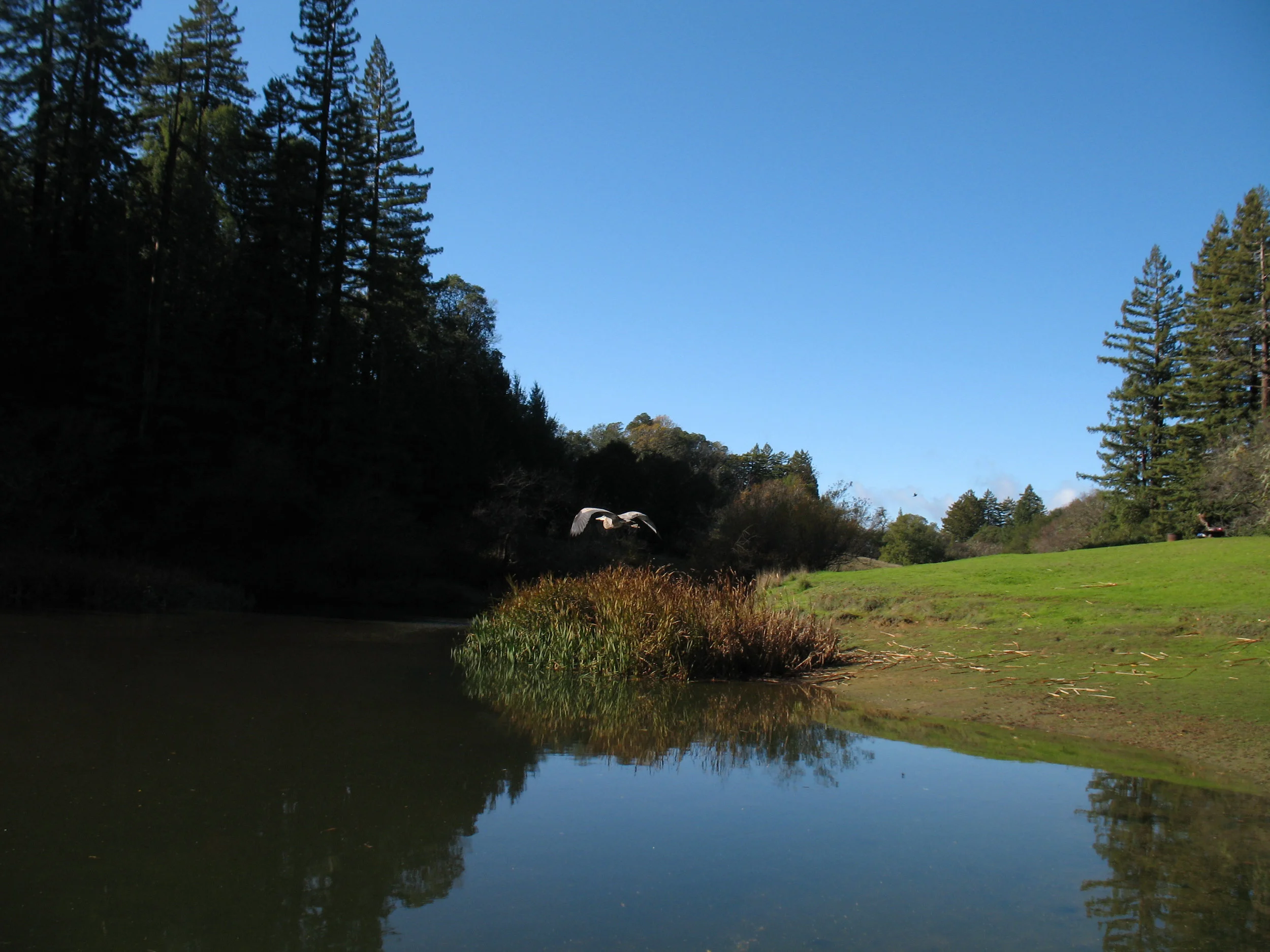 Bullfrog Pond, Austin Creek State Recreation Area, Guerneville
