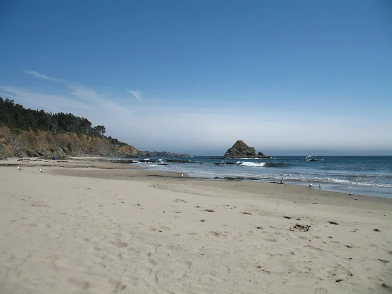 beach at anchor bay campgrounds