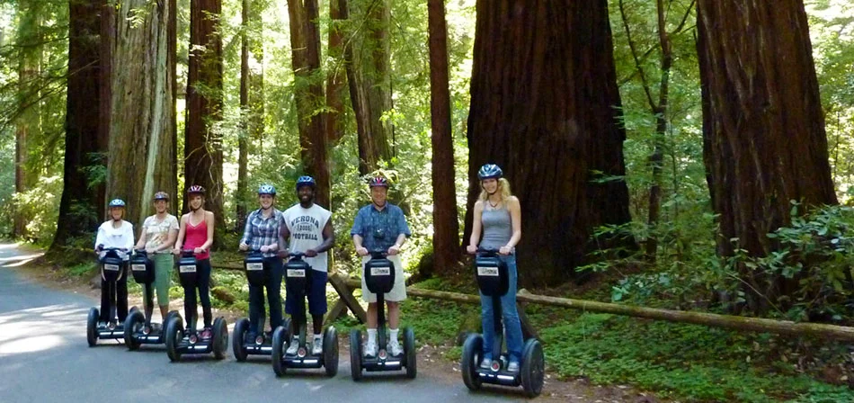 redwoods-slide4.jpg