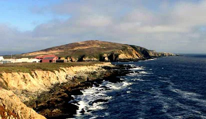 bodega marine lab