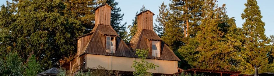 russian river vineyards