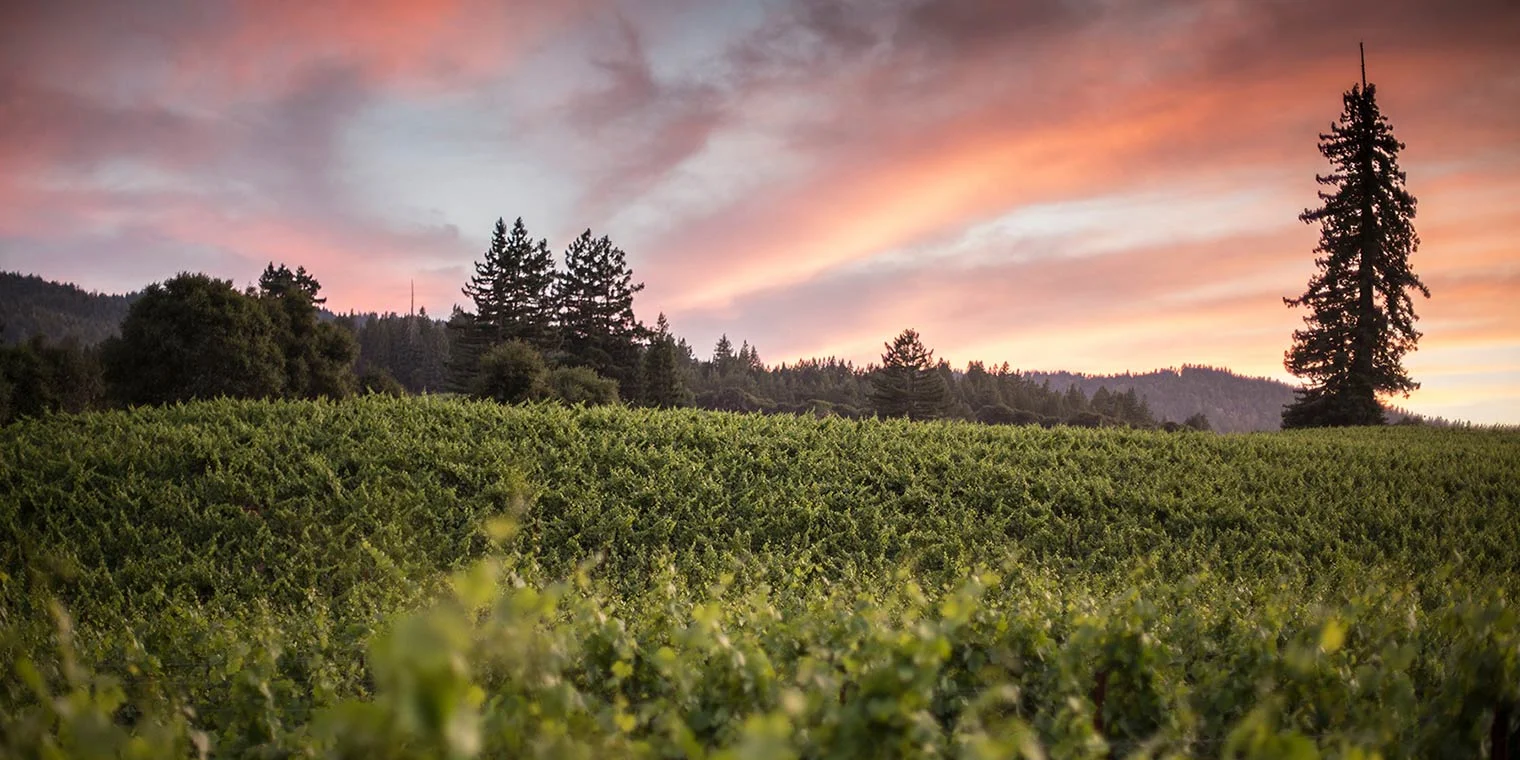 twomey vineyards