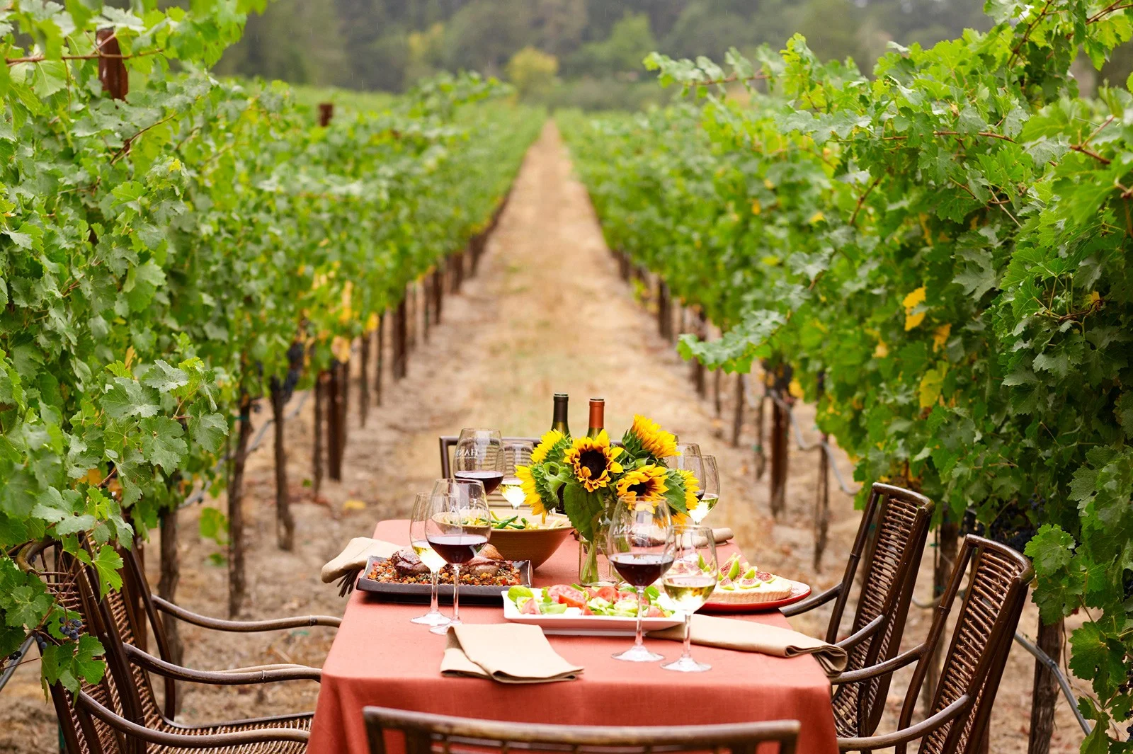 hanna winery