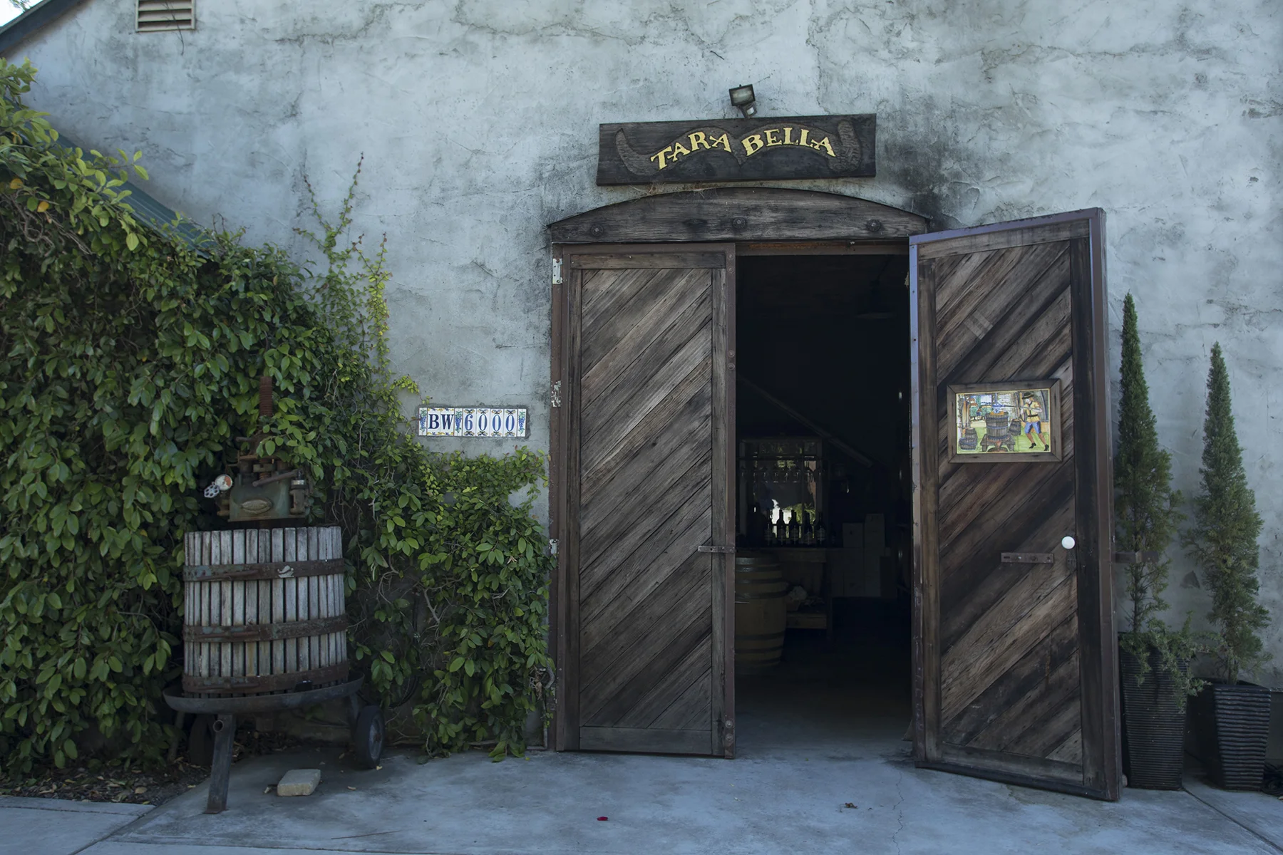 tara bella winery & vineyards