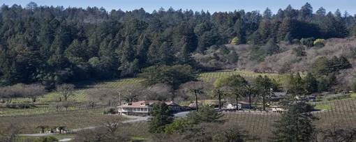 dutton estate winery