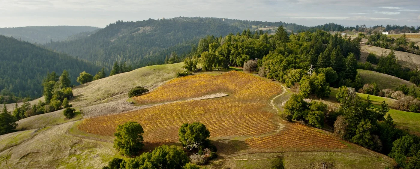 dutton-goldfield winery