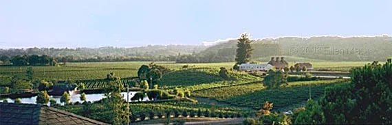 russian hill estate winery