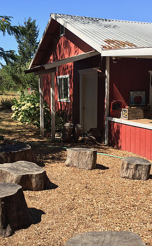 gabriel farm