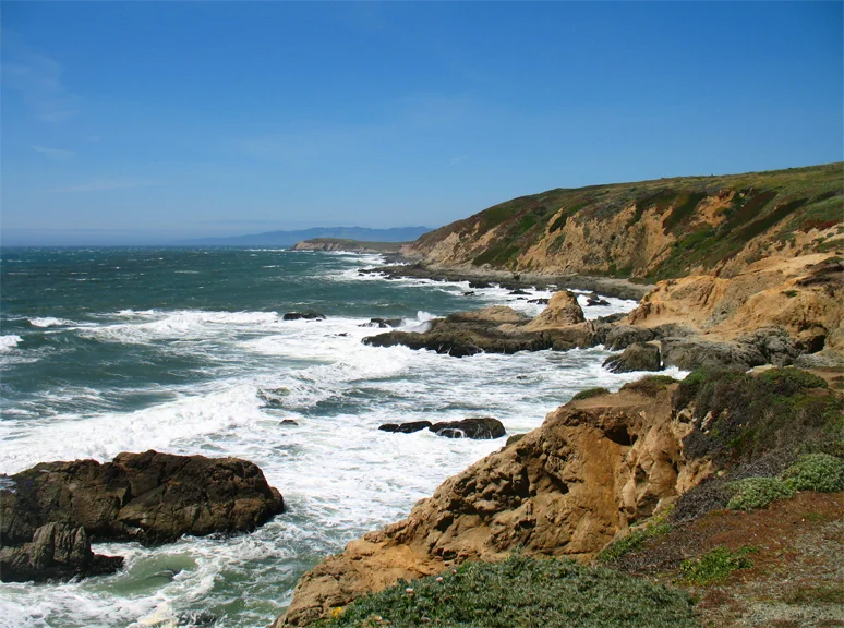 bodega head trail