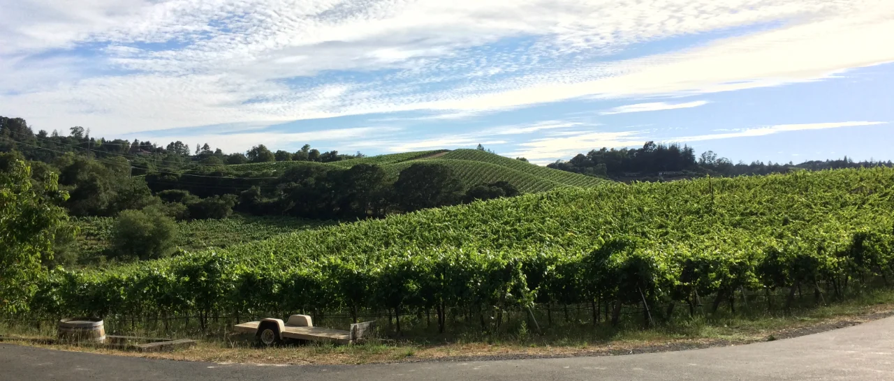 joseph swan vineyards