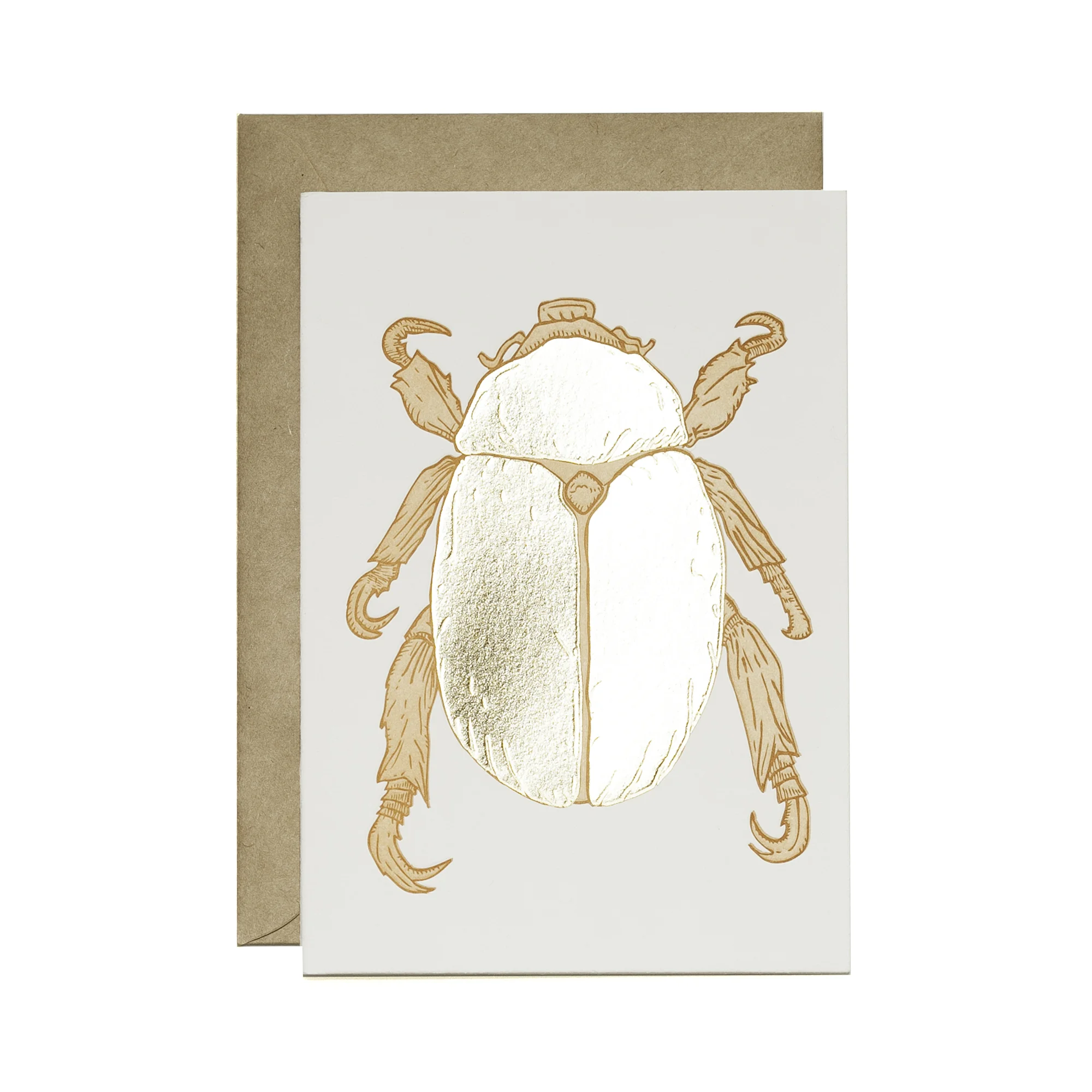 beetle1.jpg