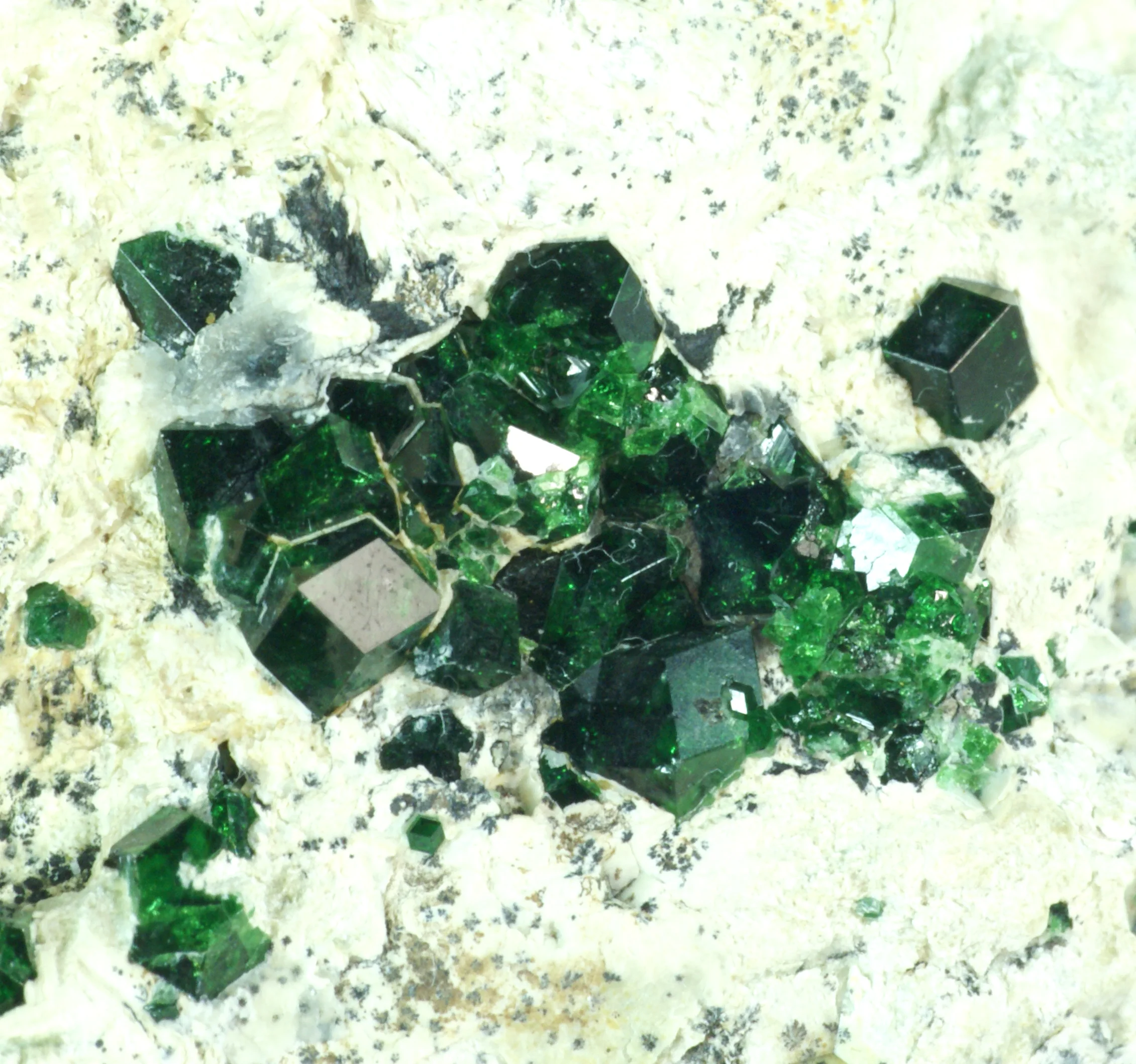 Andradite var. Demantoid xls. (closeup) (Ottens book p.469)