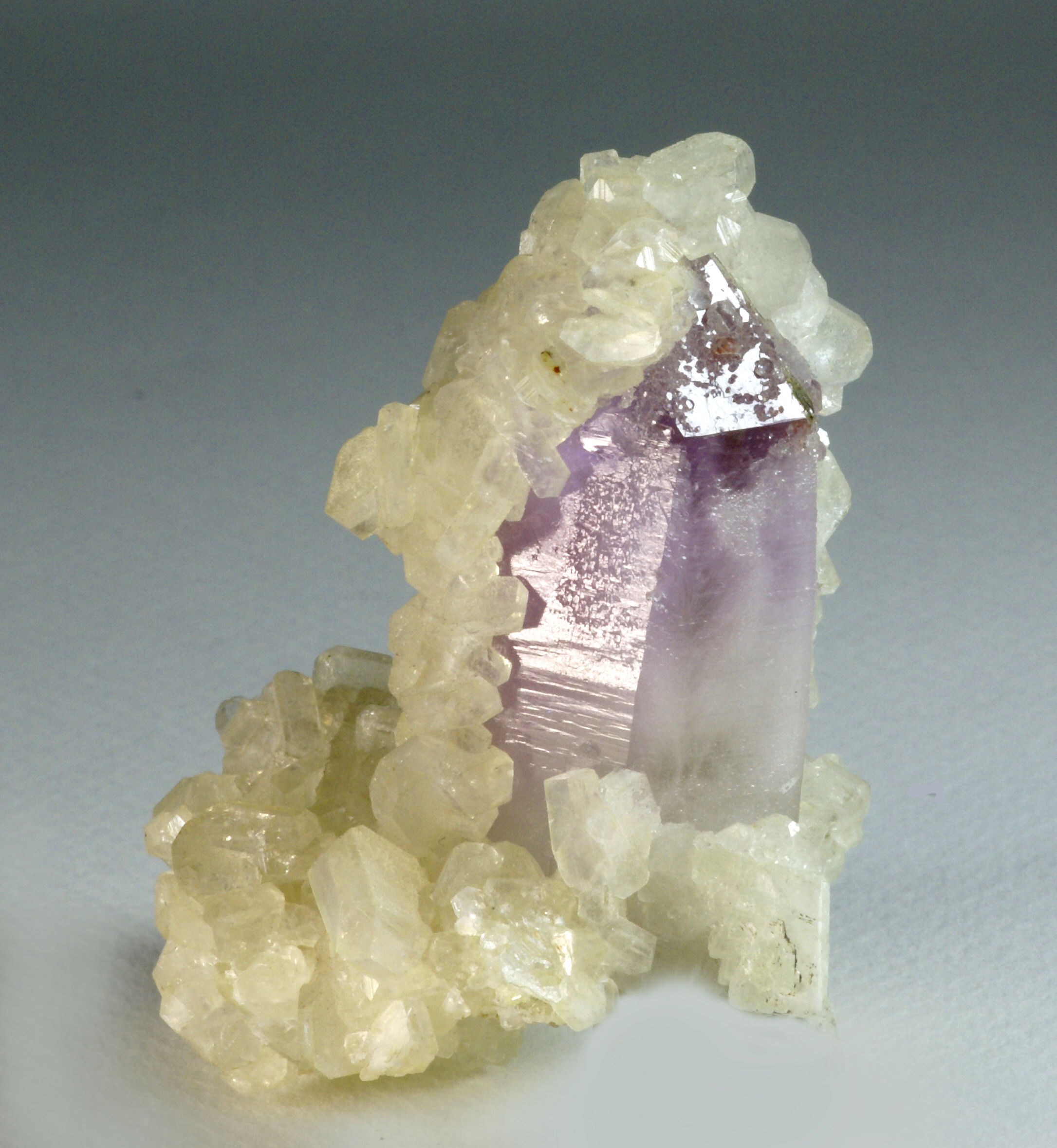 Apophyllite xls. on Quartz var Amethyst xl.