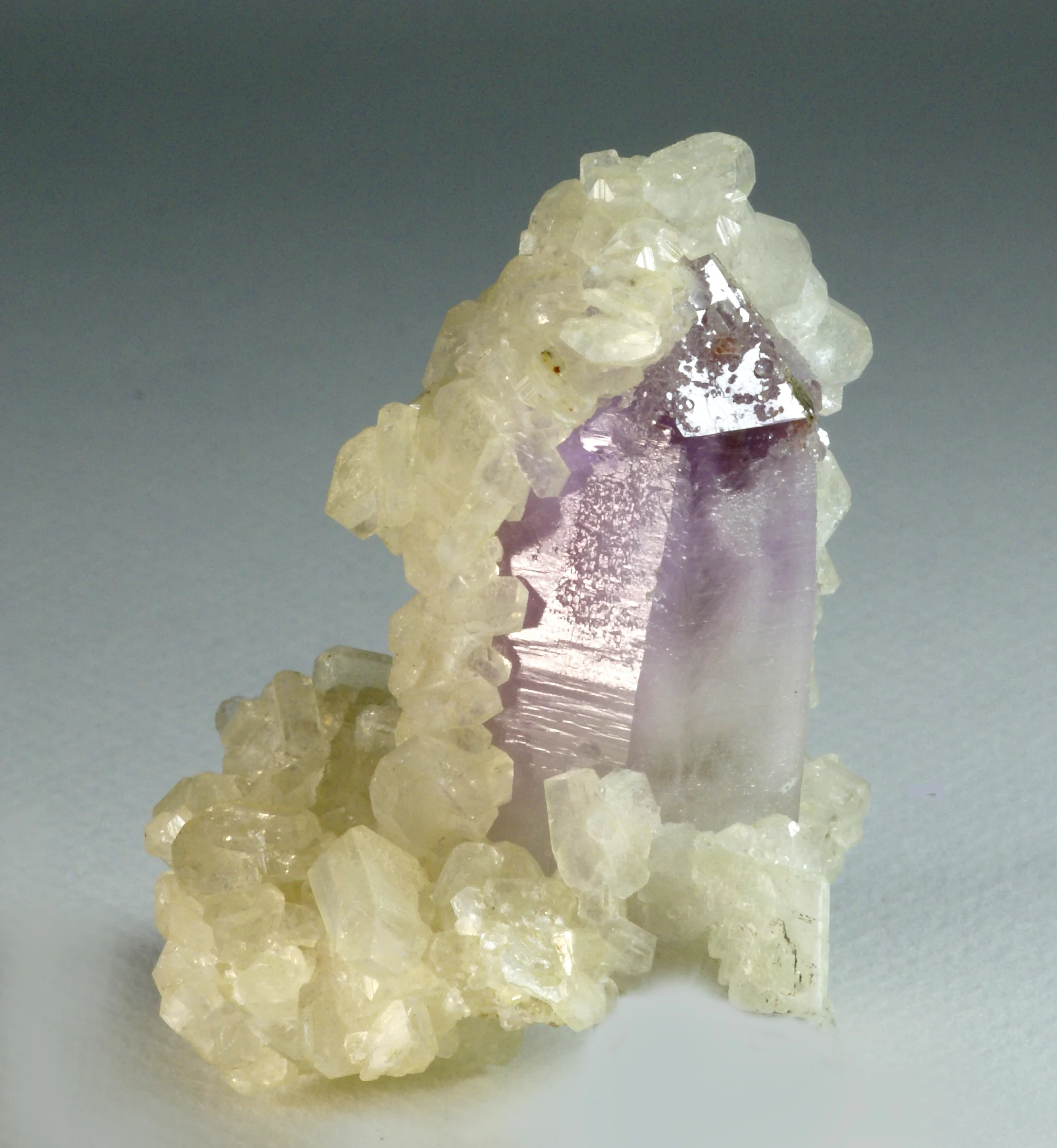 Apophyllite xls. on Quartz var Amethyst xl.
