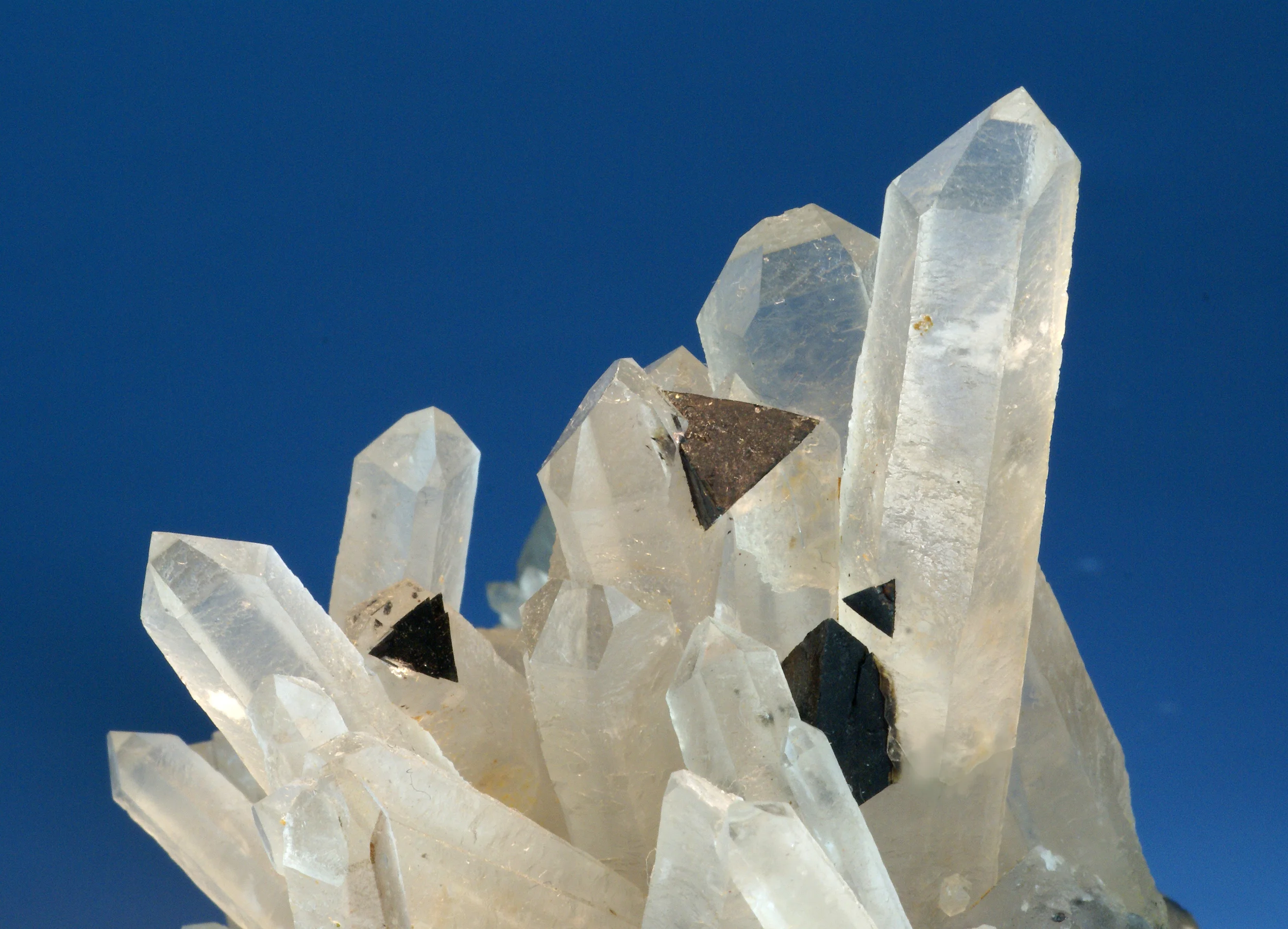 Helvite xls.on Quartz xls.
